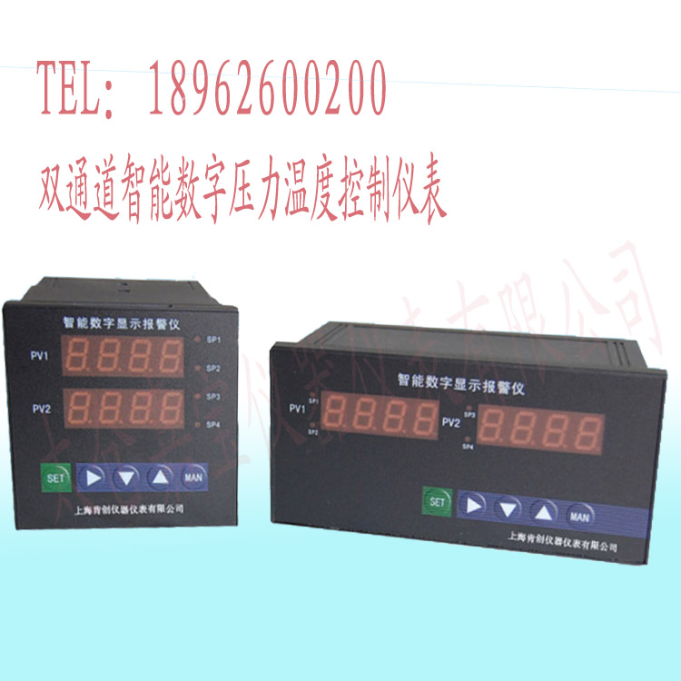 雙回路/溫度/壓力/液位智能數(shù)顯報警儀4-20MA可帶485通訊